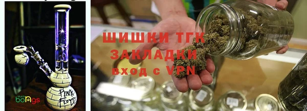 твердый Богородицк