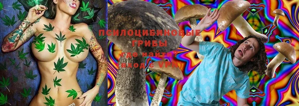 ALPHA PVP Богданович