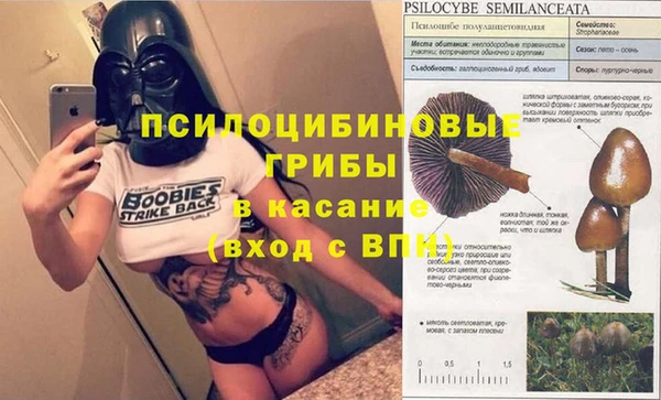 ALPHA PVP Богданович