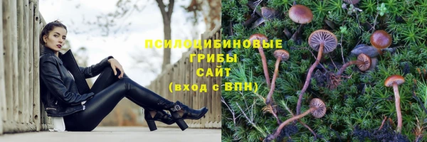 ALPHA PVP Богданович
