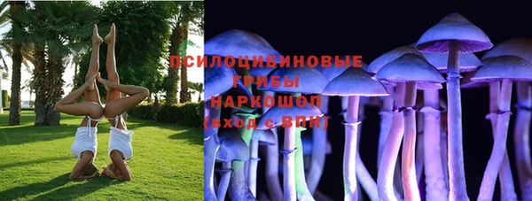 твердый Богородицк